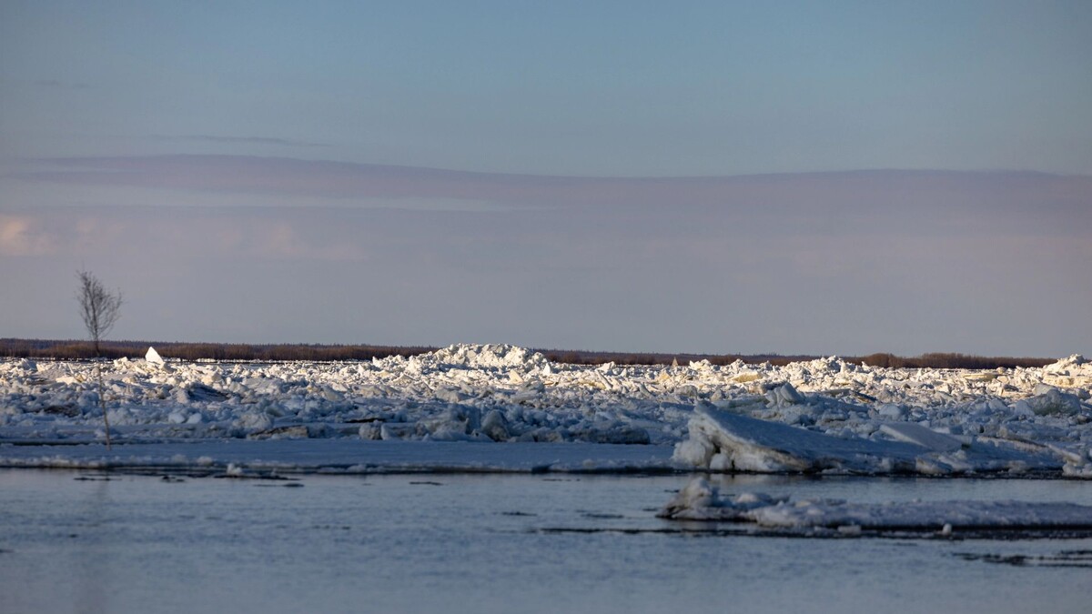    Фото: Сергей Зубков / «Ямал-Медиа»