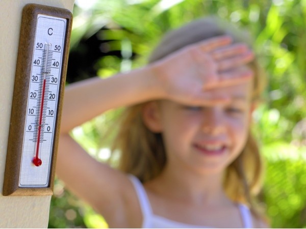    жара // фото с сайта photoxpress.ru