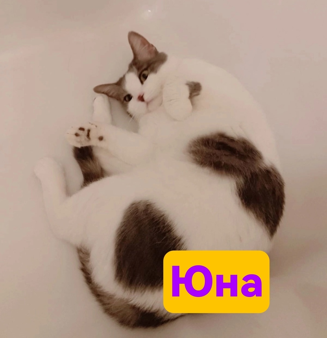 Юна скоро поедет домой