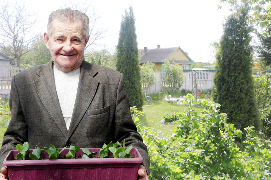     Петр Кашуба уверен: секрет урожая – не в климате, а в руках, знающих свое дело