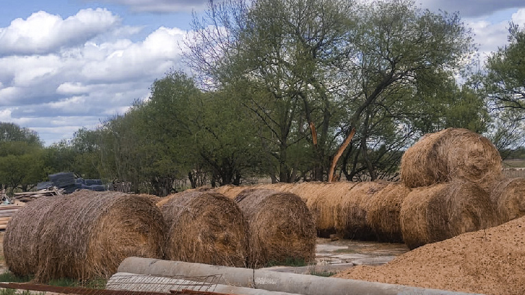 Фото: Максим Паладьев

