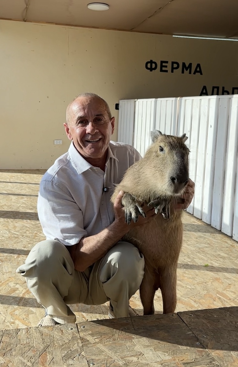 Капибары на ферме альпак в Ставрополе 