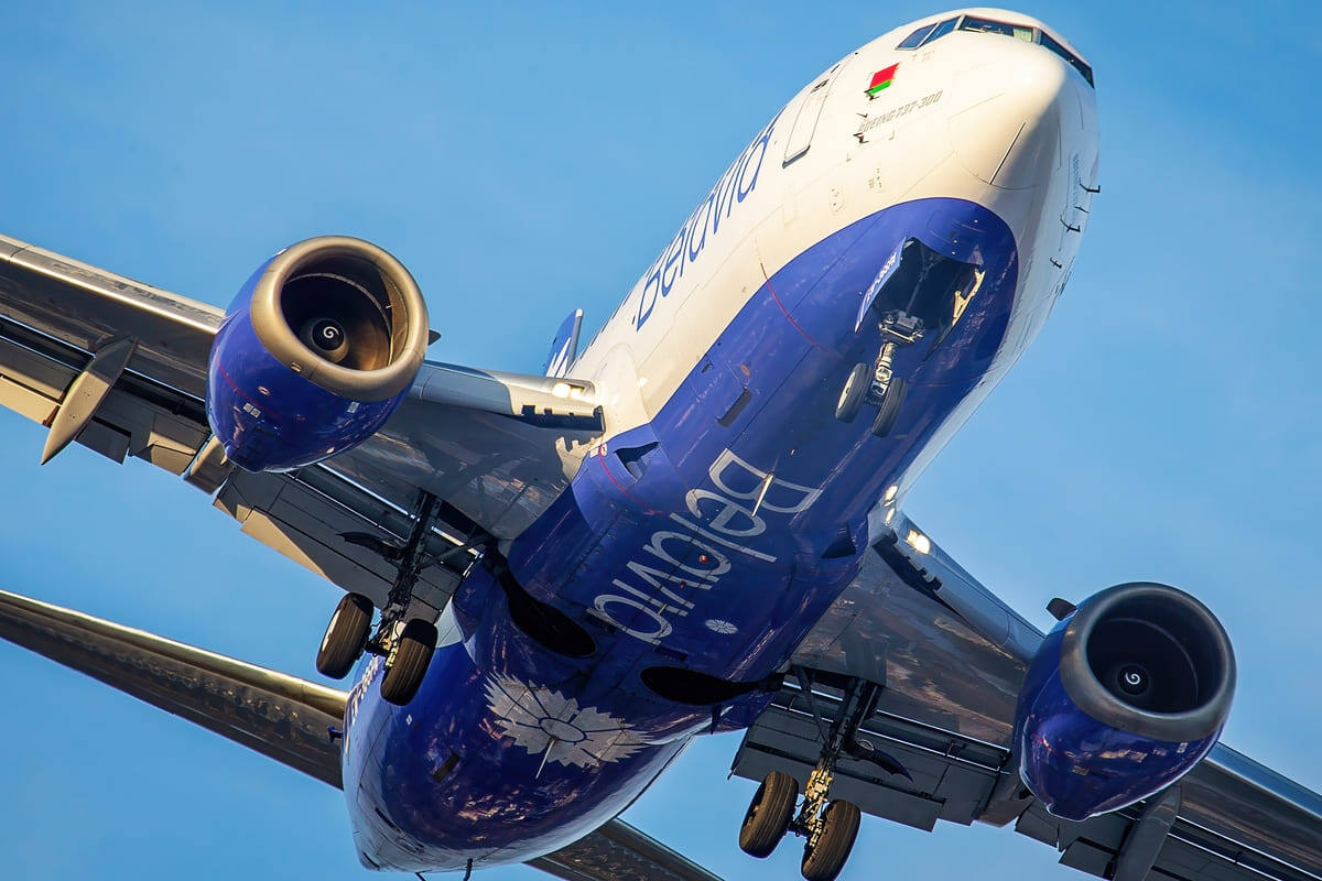    Фото: Adomas Daunoravicius / Shutterstock.com