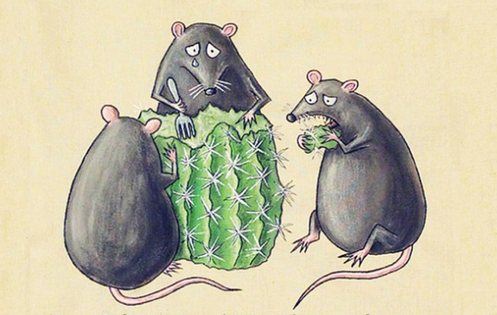 мыши плакали, кололись, но продолжали есть кактус