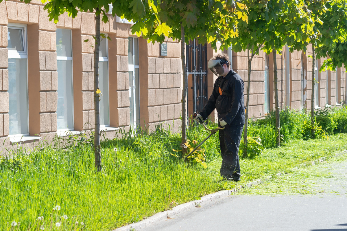 Источник: https://www.shutterstock.com/ru