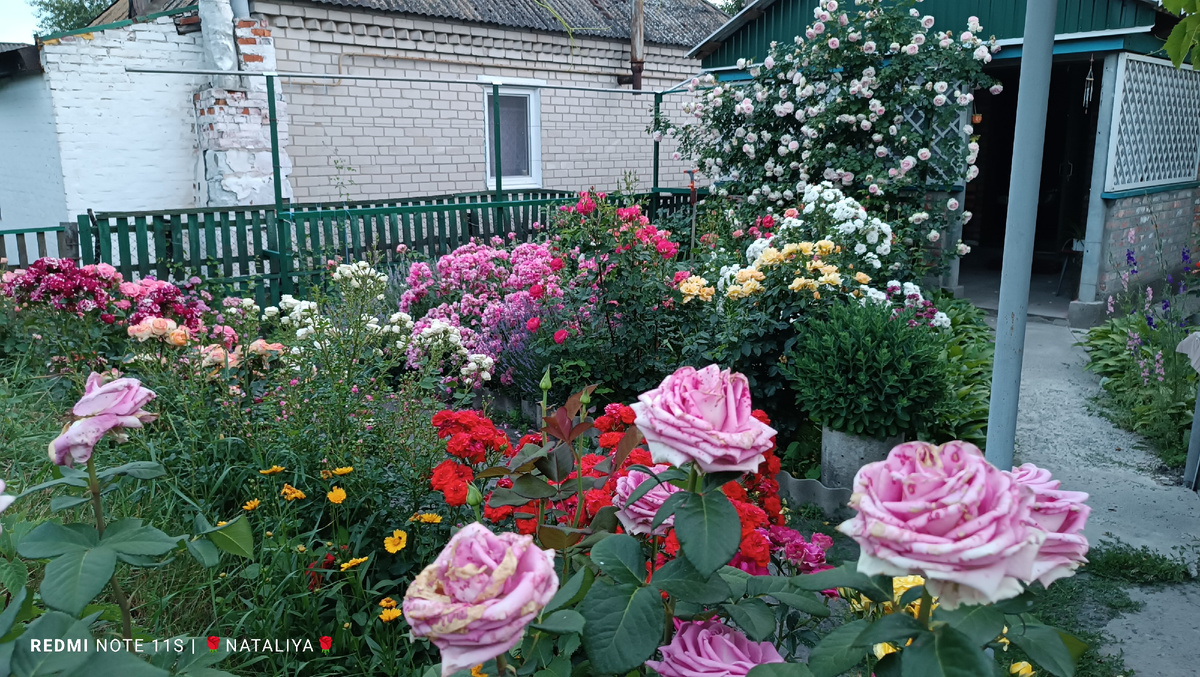 Фото автора канала Мой розовый мир.