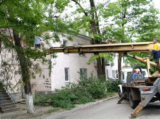    ликвидация последствий штормового ветра // фото: сайт Администрации Ростова-на-Дону