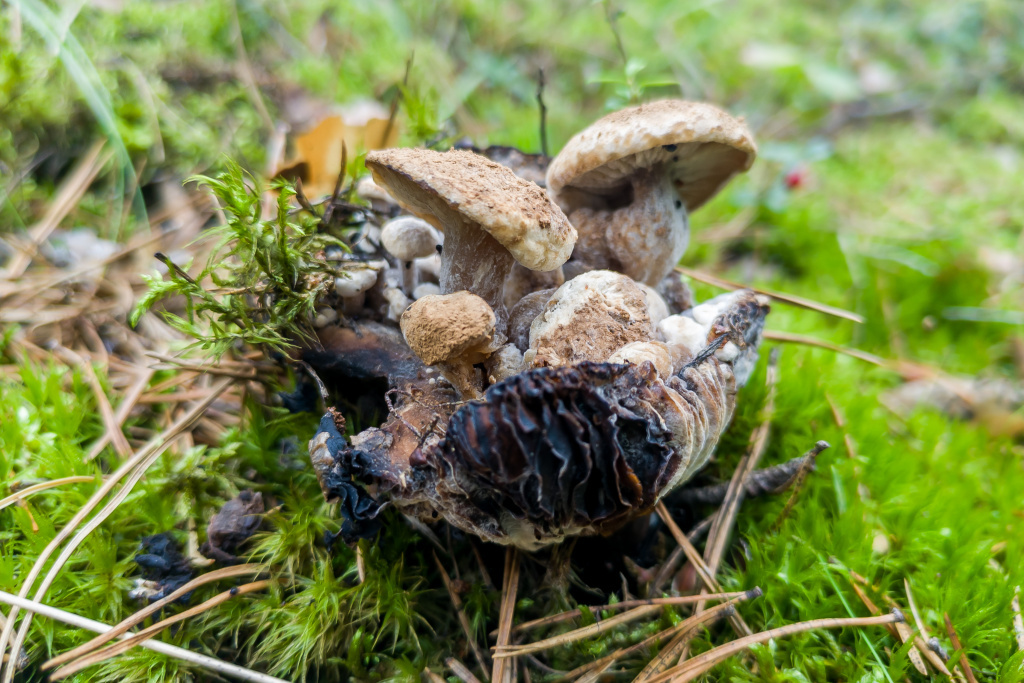 © Фото Андрея Заржецкого.📷
