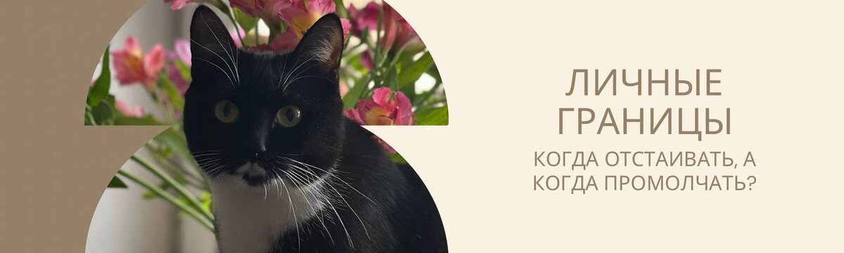 Кошка - существо, у которого можно учиться проявляться: быть мягкой, ластиться и нежиться. Уйти, зажипеть, укусить, если что-то не нравится. Быть собой.