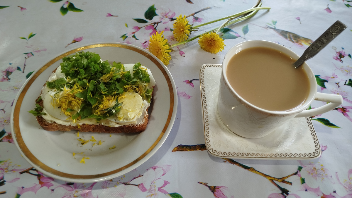 Мой стандартный завтрак. 