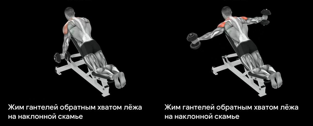 Жим гантелями в стороны лежа грудью на наклонной скамье.