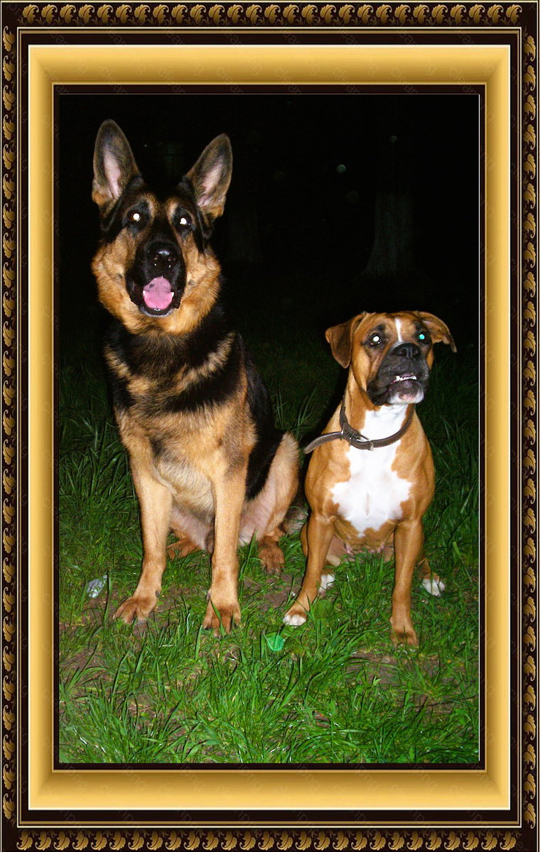 Фото из архива Ивановых и Рыжковых – НИКО и ЮТА, 2007