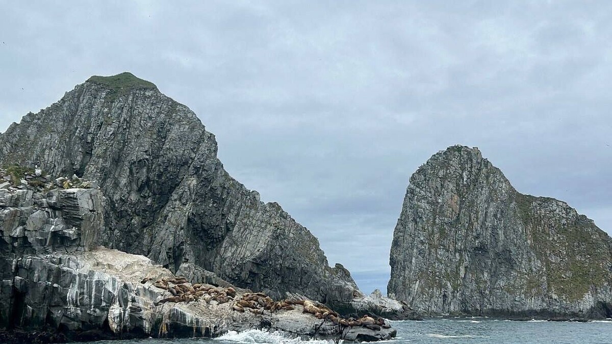    Фото: телеканал «Краснодар»