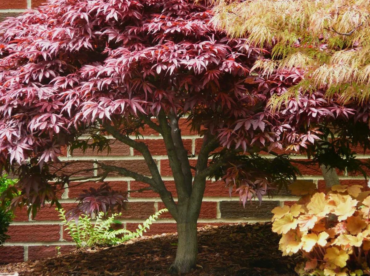 Источник фото: flickr.com