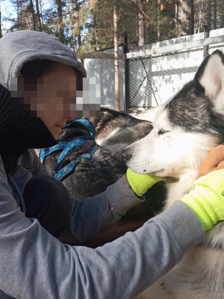 Фото виновного в происшествии