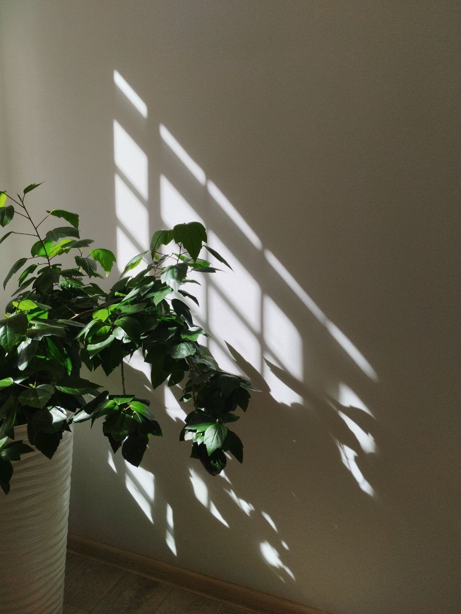 Угол, точка, ракурс — всё это лишь игра 