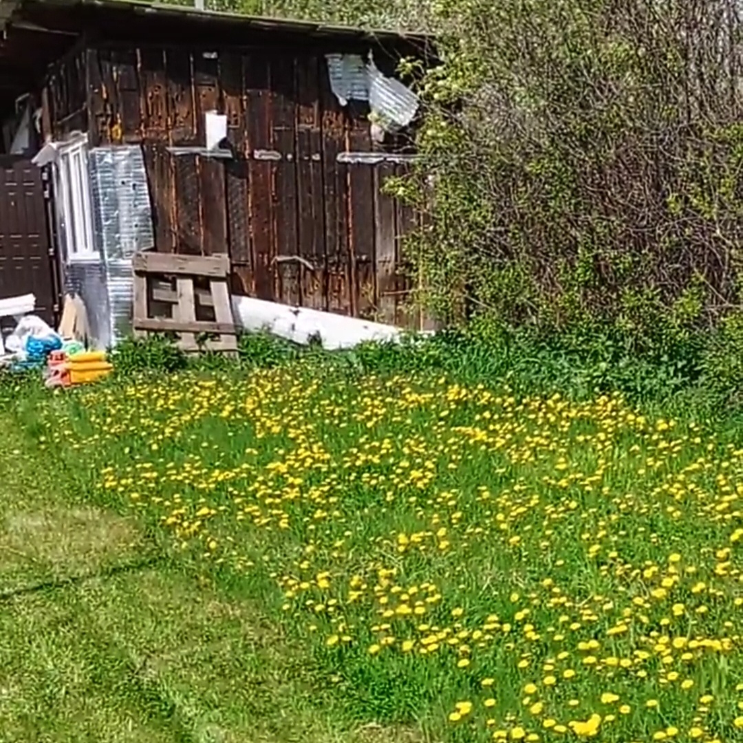 Мы можем всё оставить как есть, а можем взять и поменять