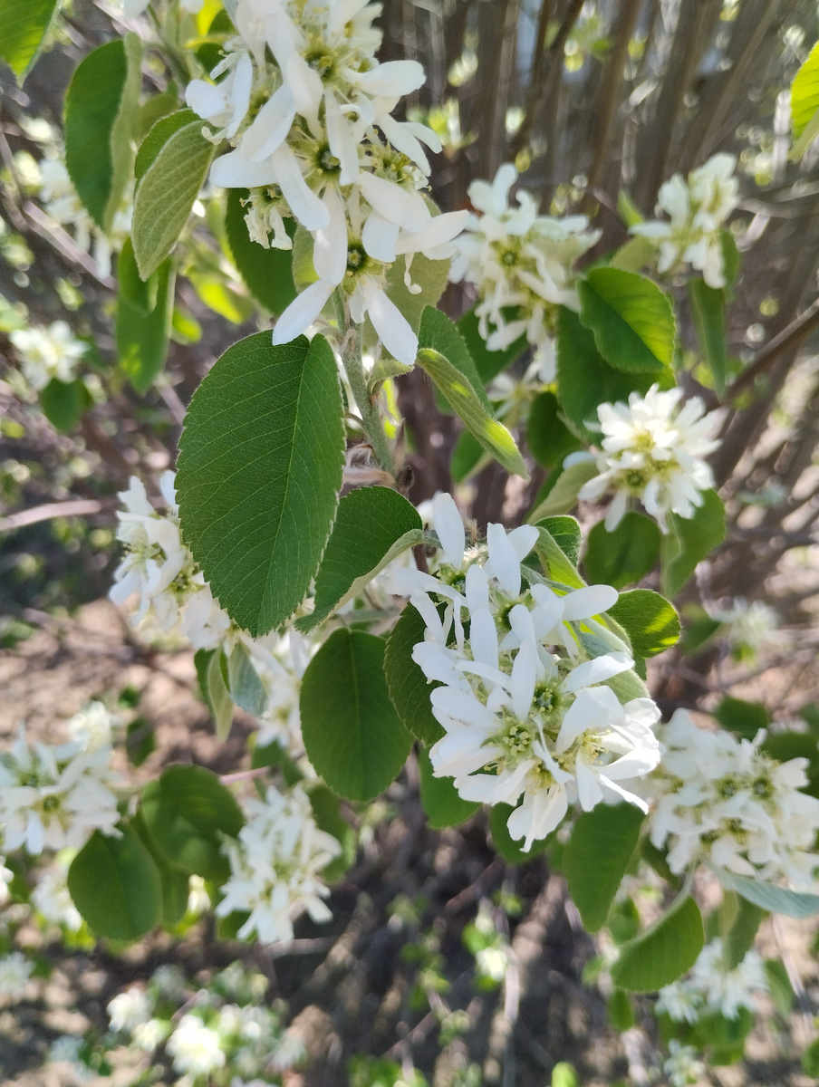 Красивая картинка просто)))