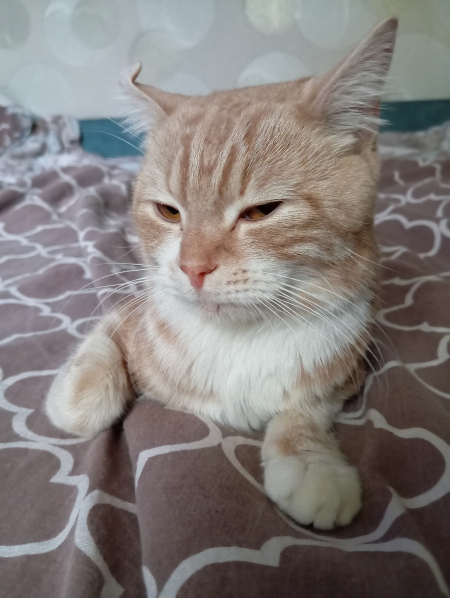 Как быстро вырос 