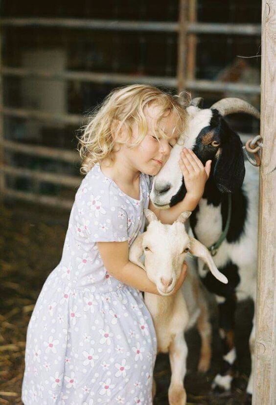 Ребенок и животное