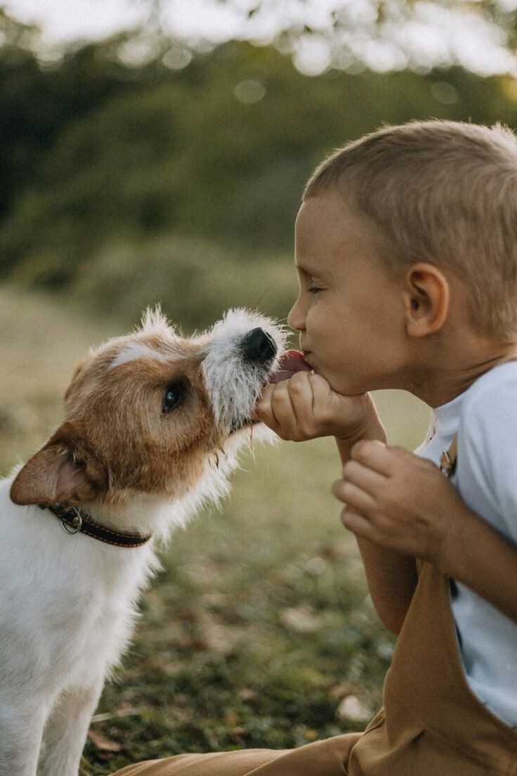 Мальчик и собака