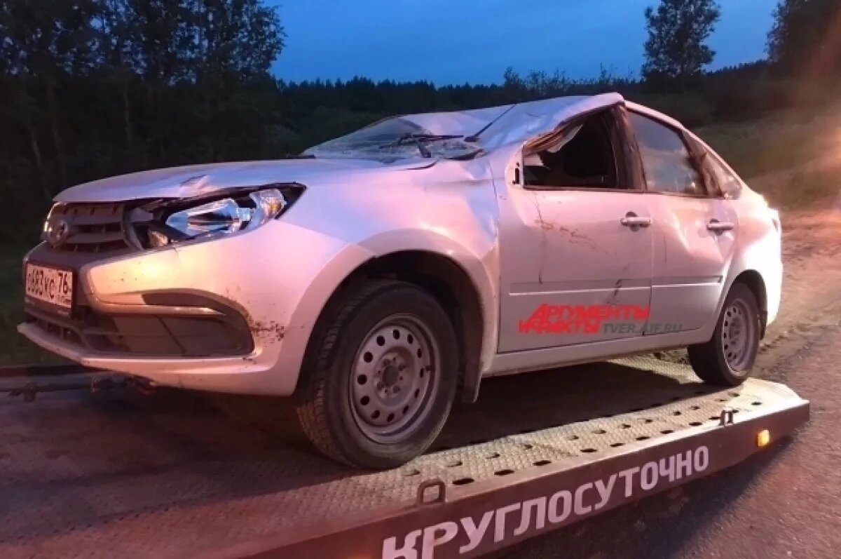    Лось повредил автомобиль на трассе М-10 под Тверью