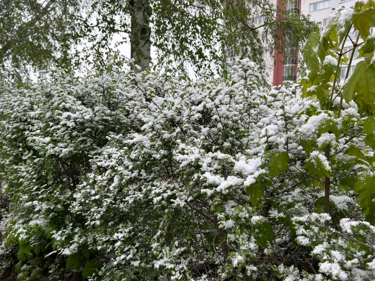    архив samaraonline24