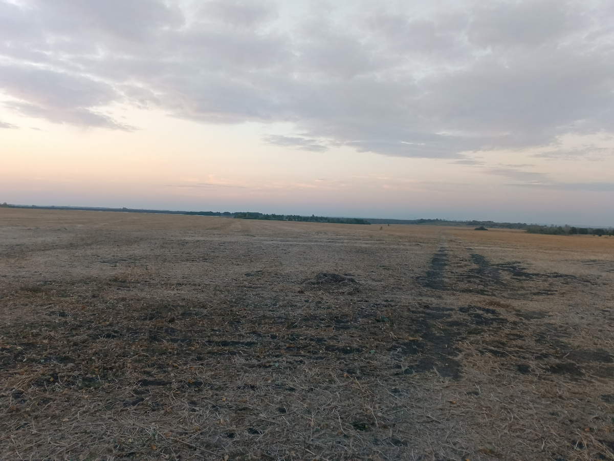 Вот так выглядит памятник природы