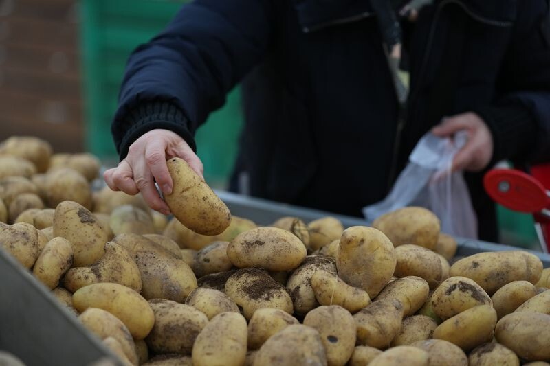     / Источник: © ИЗВЕСТИЯ/Дмитрий Коротаев