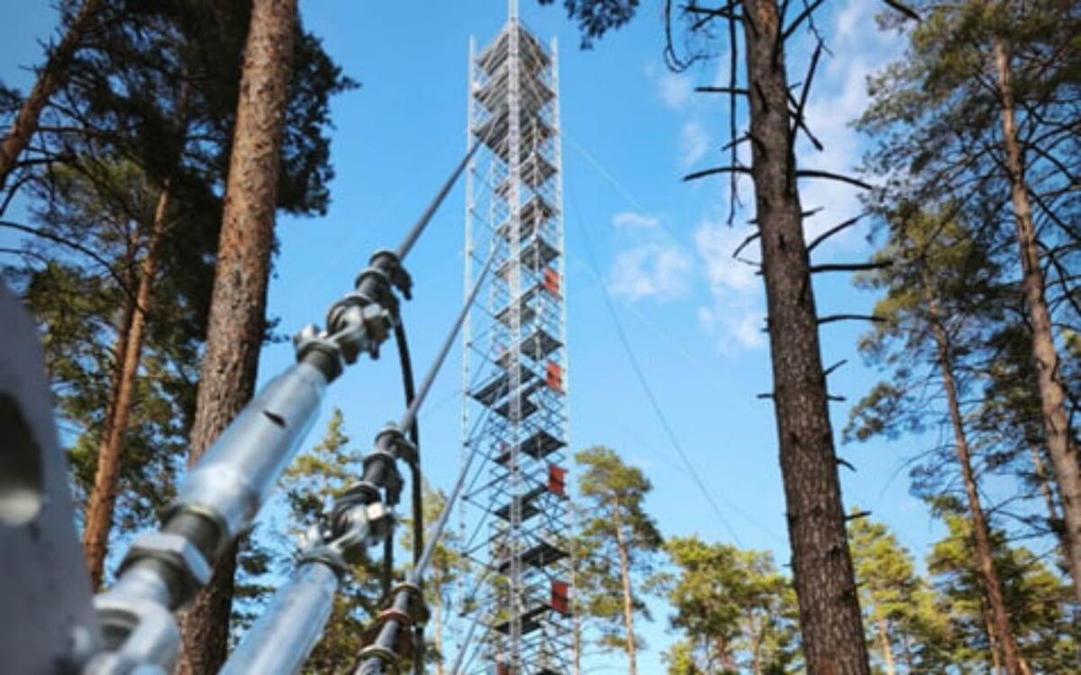    В Воронежской области открылась эколого-климатическая станция на базе карбонового полигона ВГЛТУ