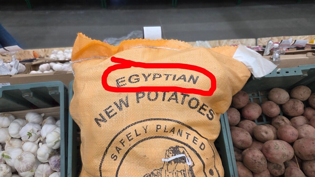     Автор: KubanPress