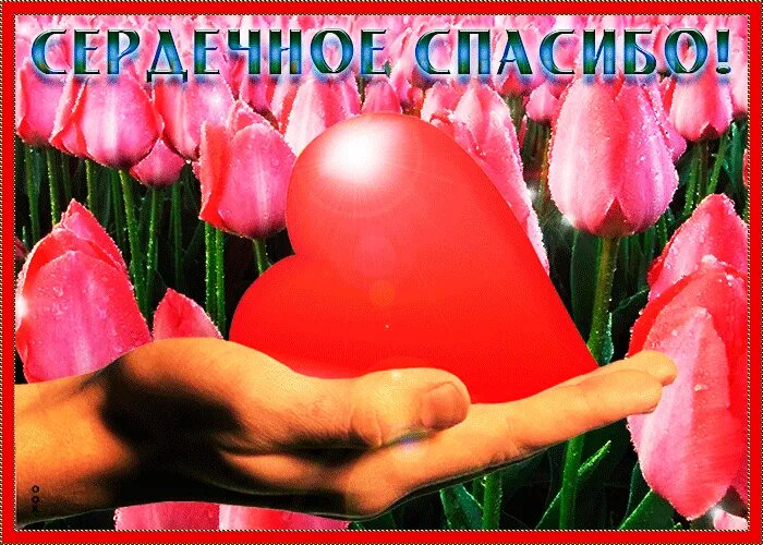 Моя искренняя благодарность, мои дорогие подписчики и гости канала)))