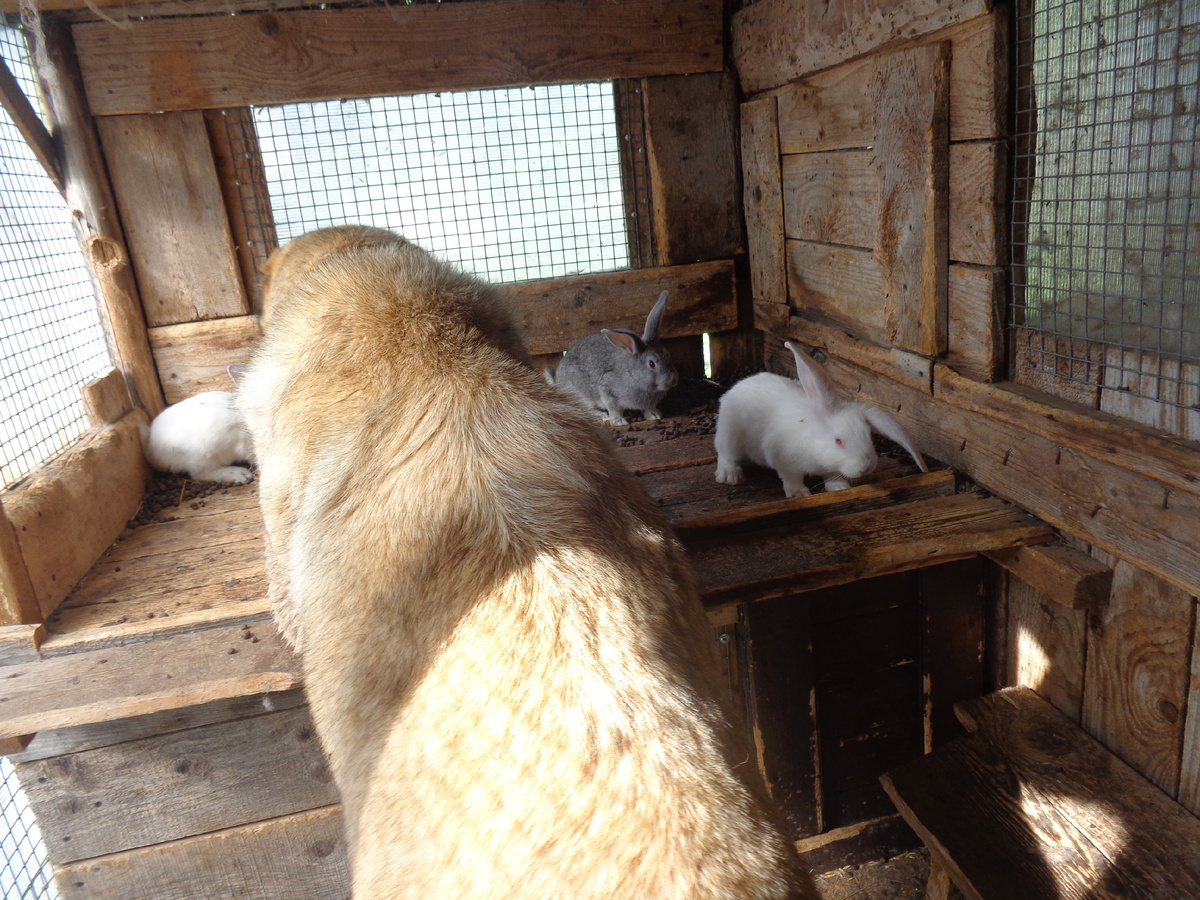 Сейчас я их всех перецелую и пойдем дальше