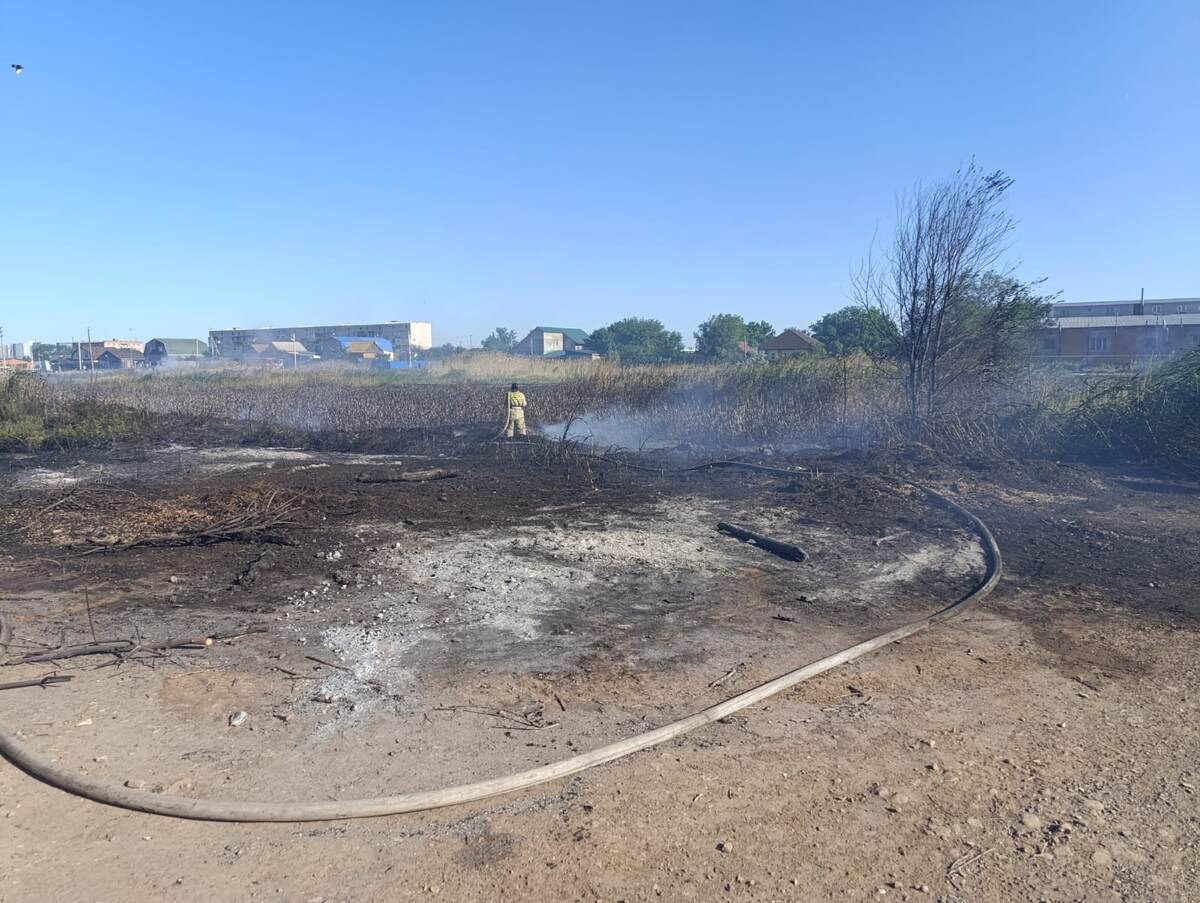 Огнеборцы локализовали и потушили пожар