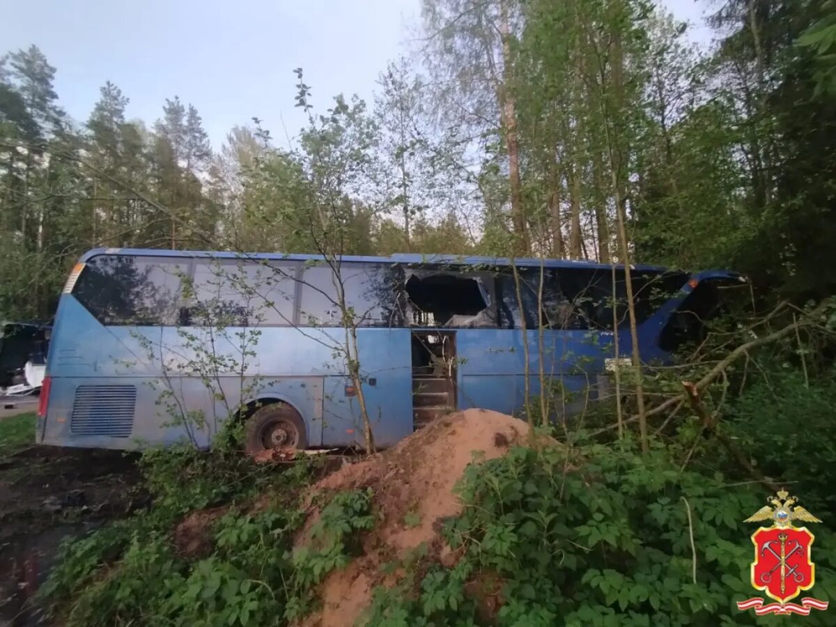    Фото: пресс-служба ГУ МВД России по Петербургу и Ленобласти