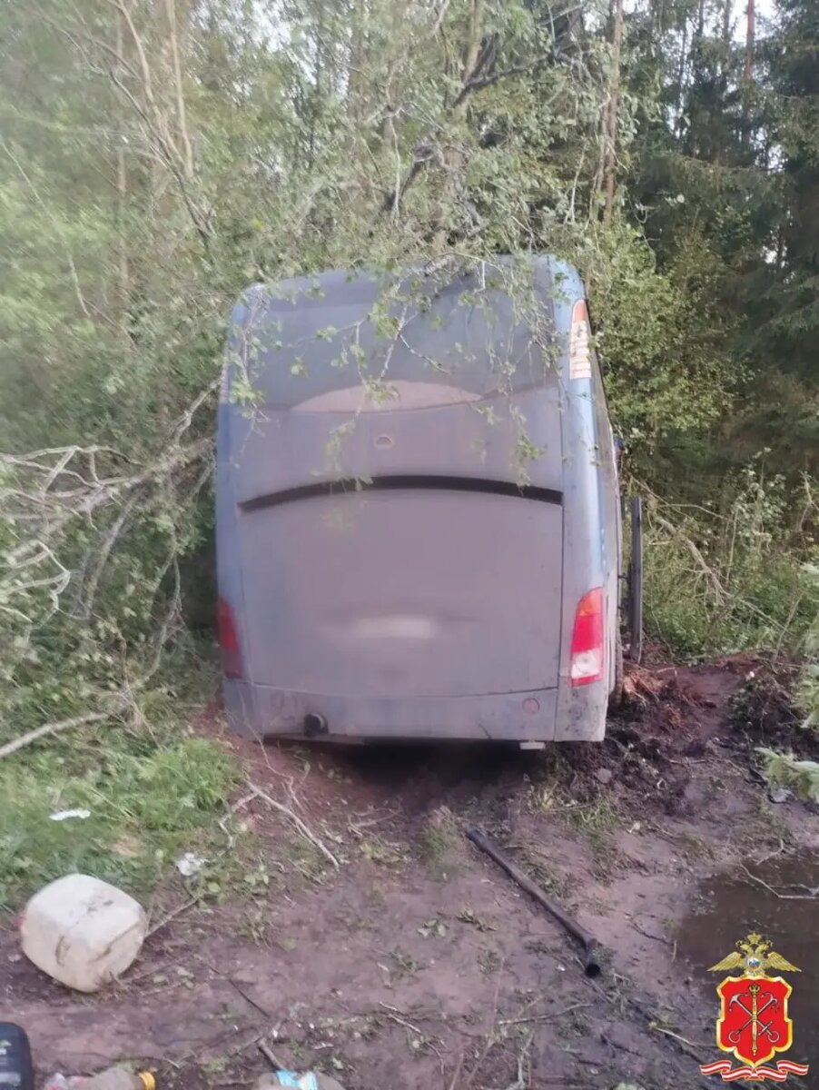    Фото: пресс-служба ГУ МВД России по Петербургу и Ленобласти