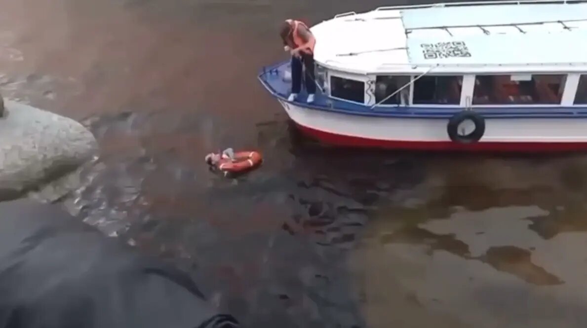    Фото: кадр видео из соцсетей