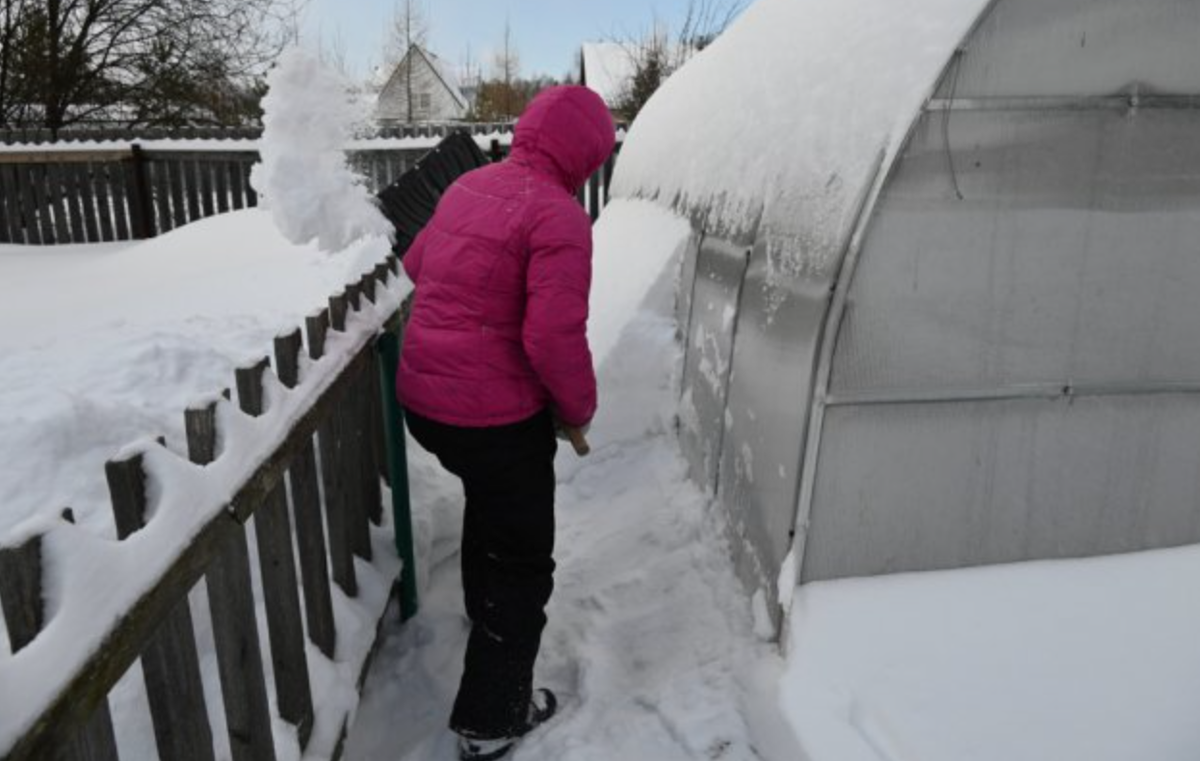 Источник фото: shutterstock.com