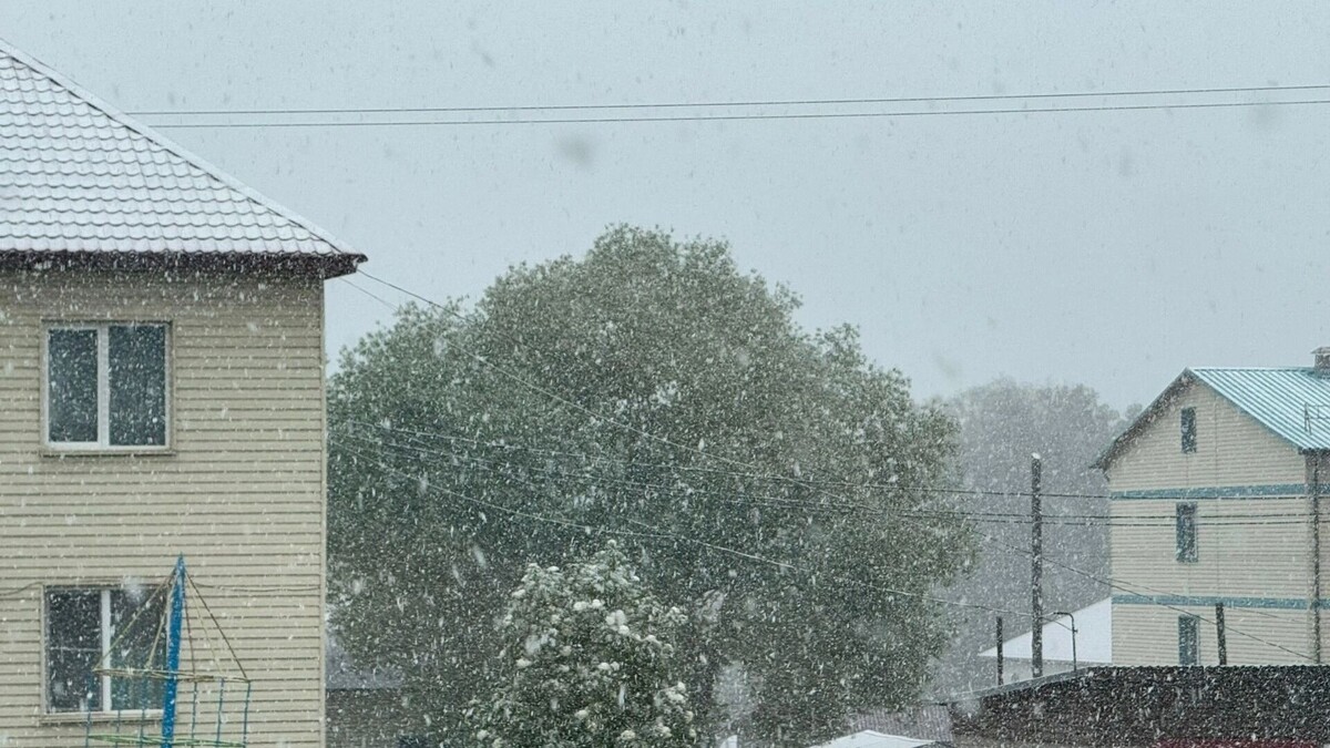     Автор: Эмилия Губарева Источник: atas.info