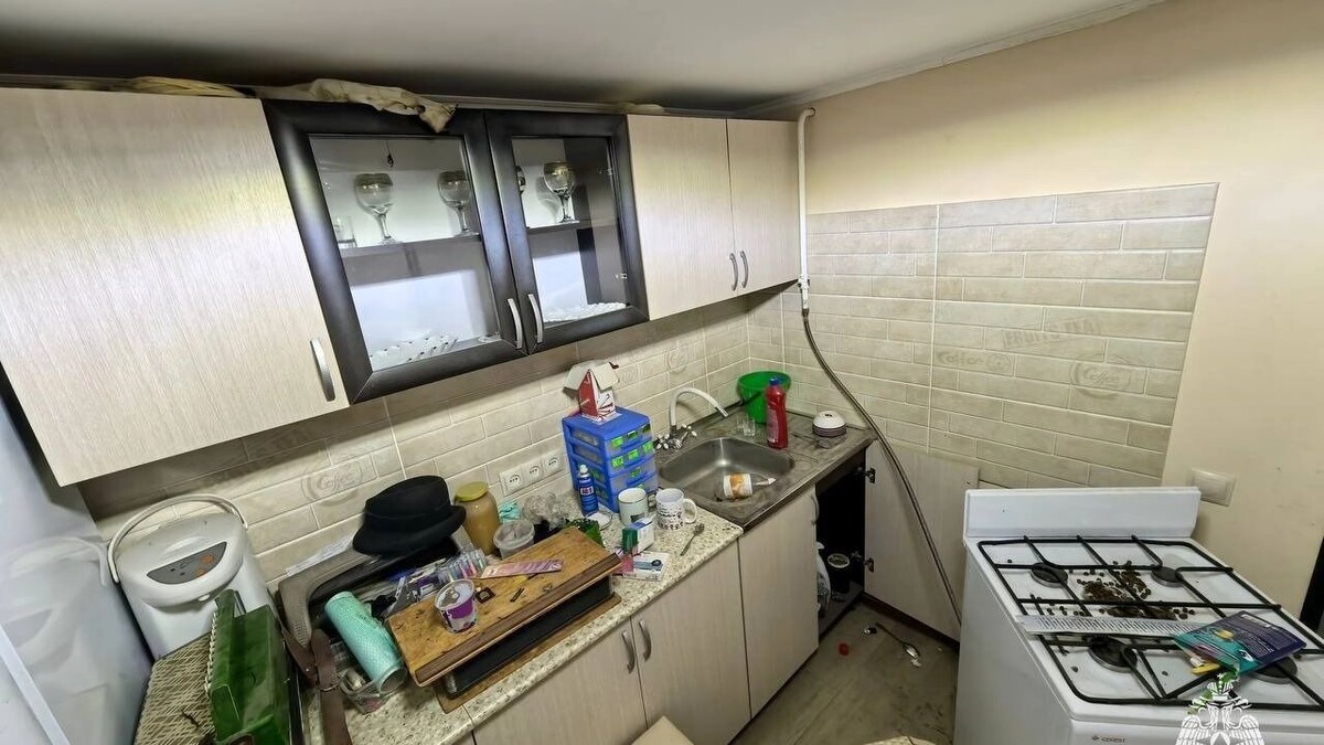     Автор: Т.me/sk_gumchs