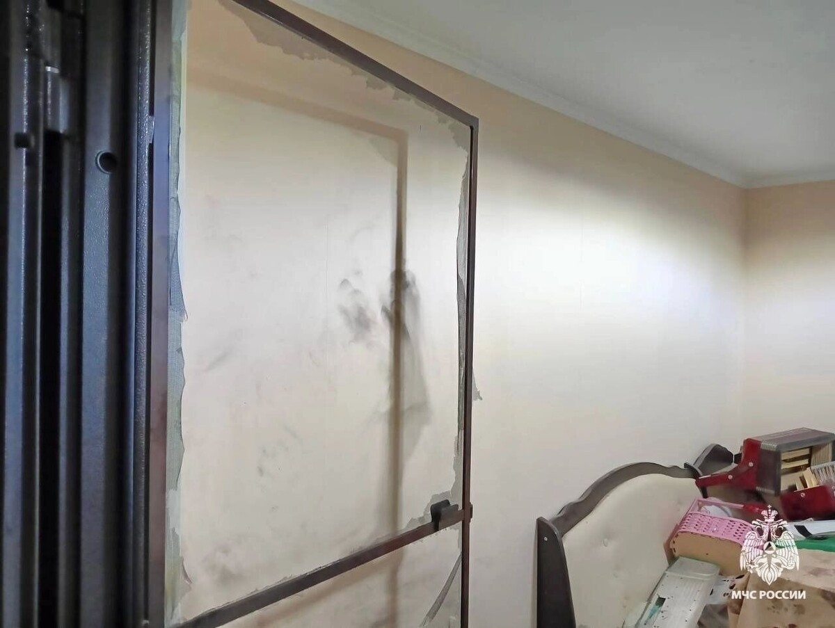     Автор: Т.me/sk_gumchs