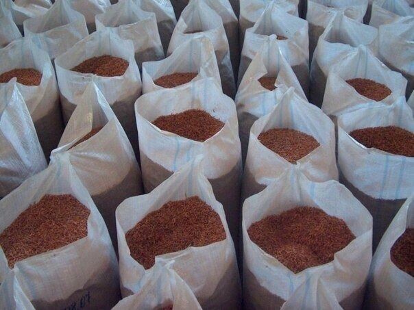     Автор: azniirkh.vniro.ru