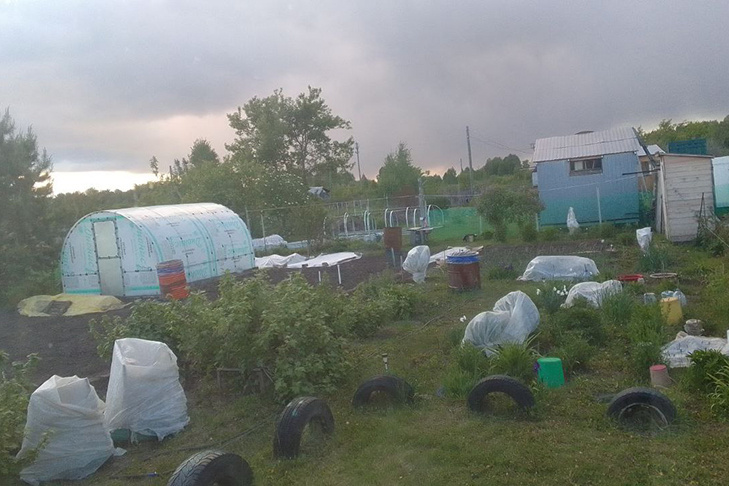    Фото читательницы VN.ru