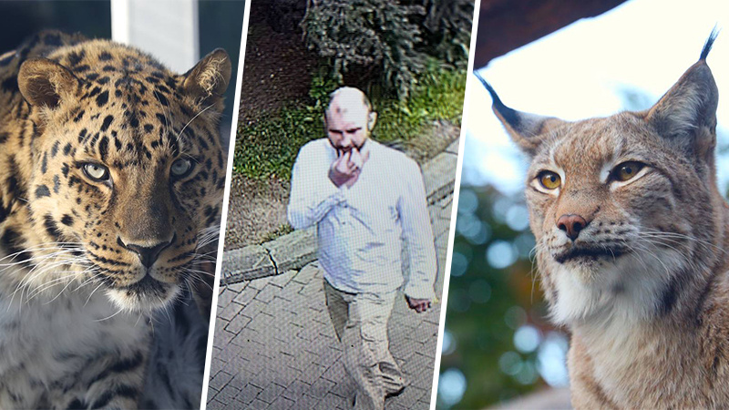 Фото: t.me/Moscowzoo_official / t.me/svetlanaakulova1