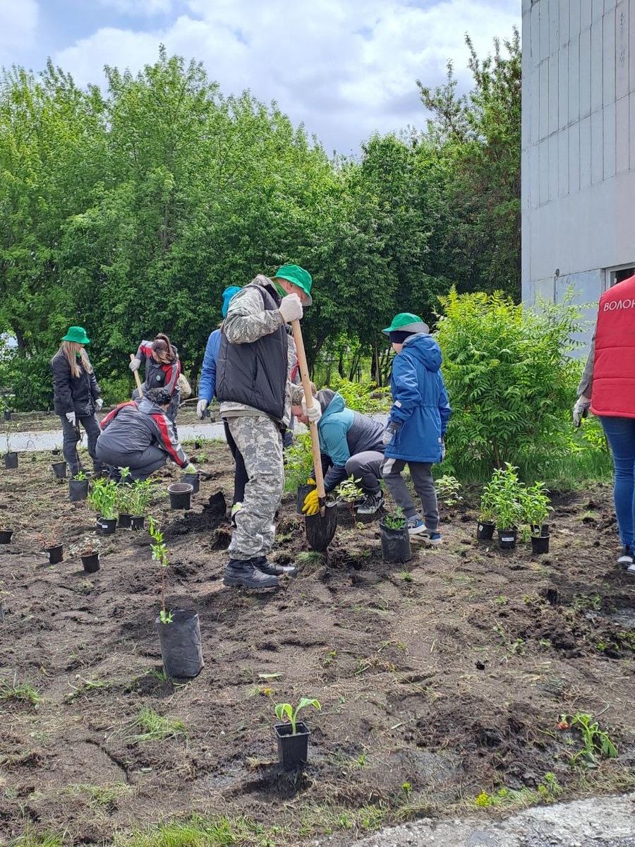    Фото: sibnovosti.ru