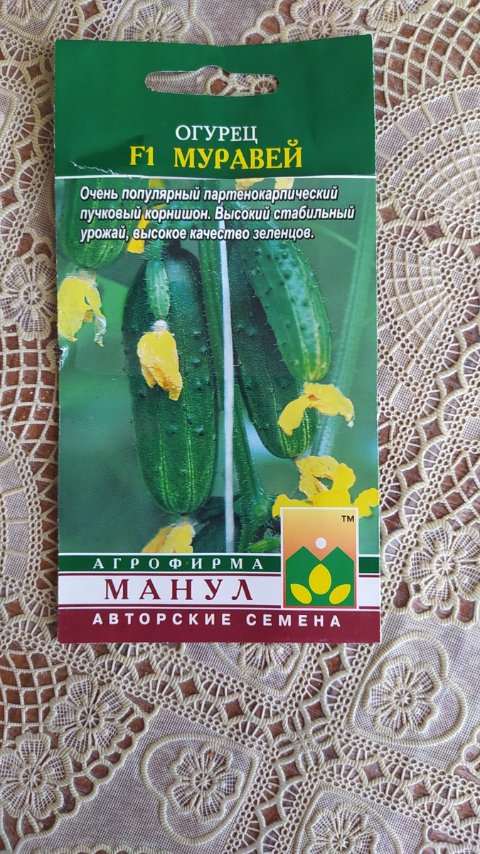 Посмотрим ,что вырастет.