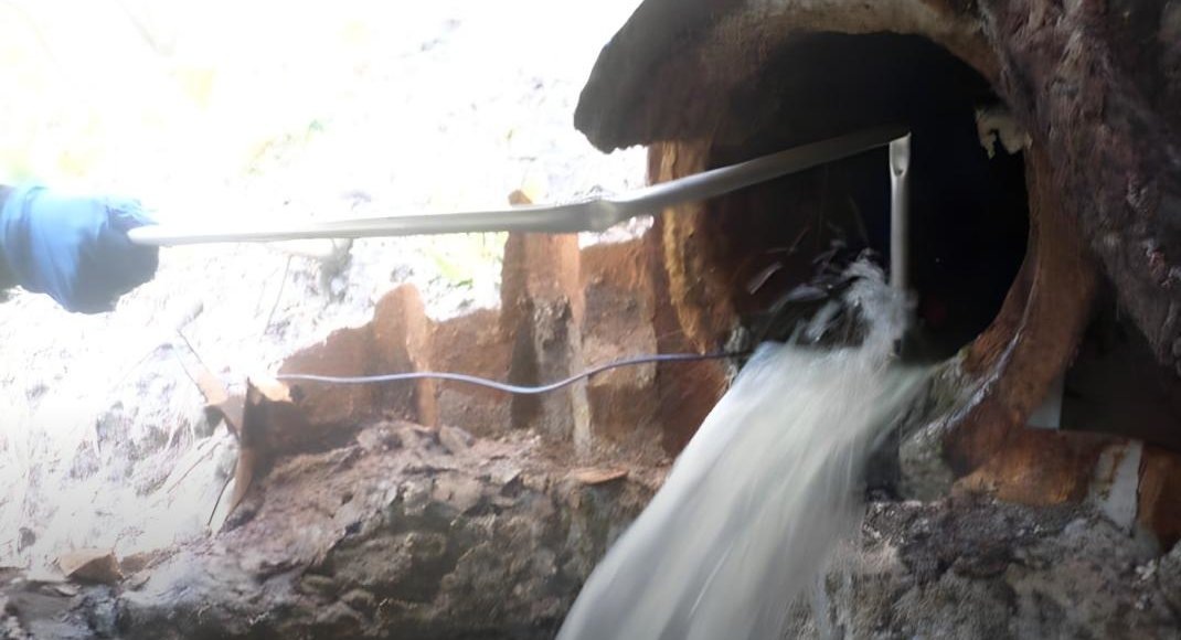    Фото: Росприроднадзор