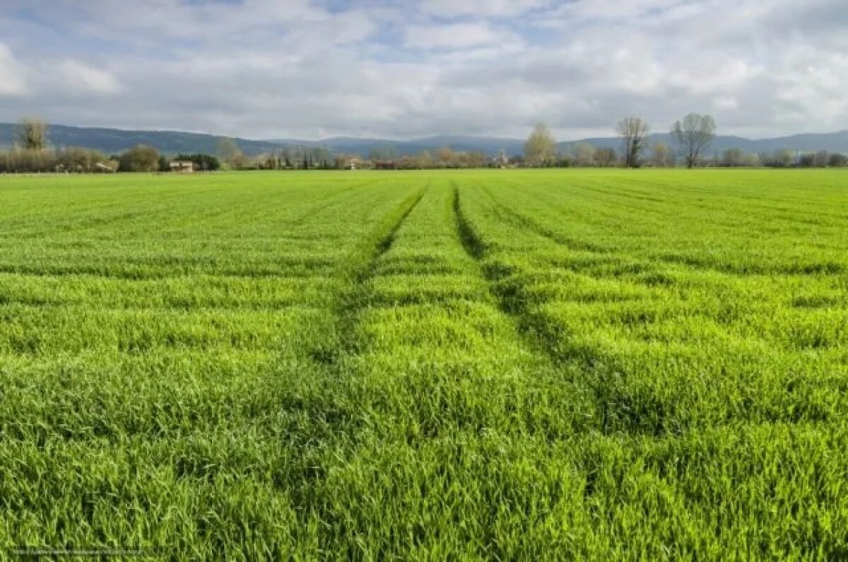   Астраханцам выдали землю для строительства на свалке