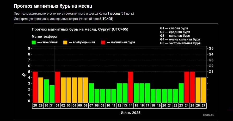     Автор: скриншот с сайта Источник: https://xras.ru/forecast_activity.html