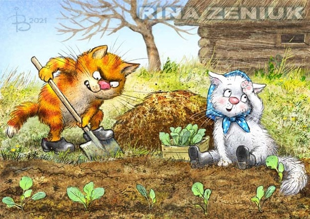 очаровательные коты Рины Зенюк
